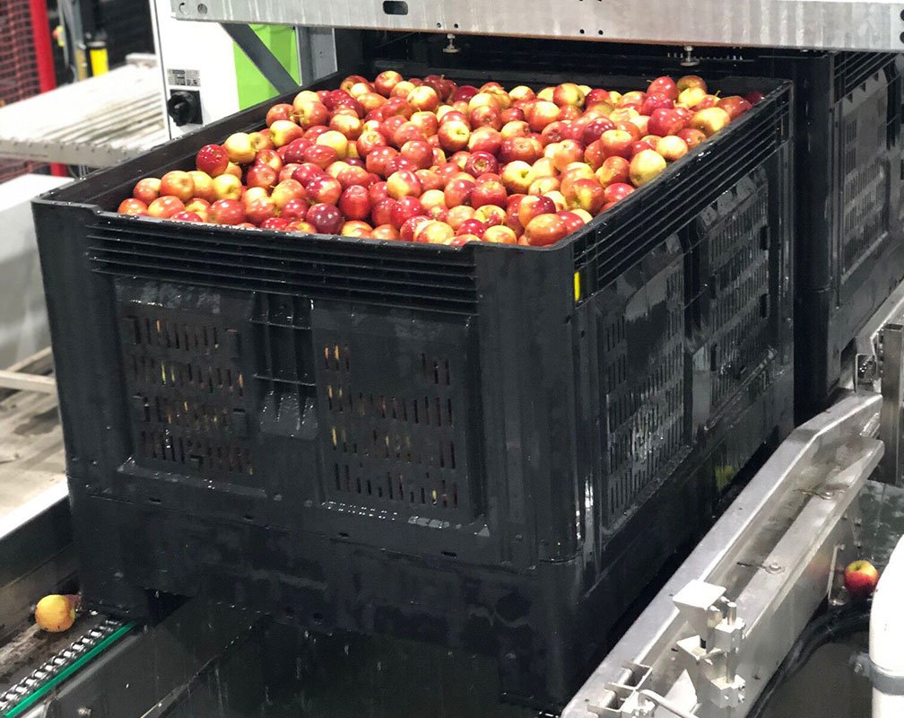 Choosing the Right Container